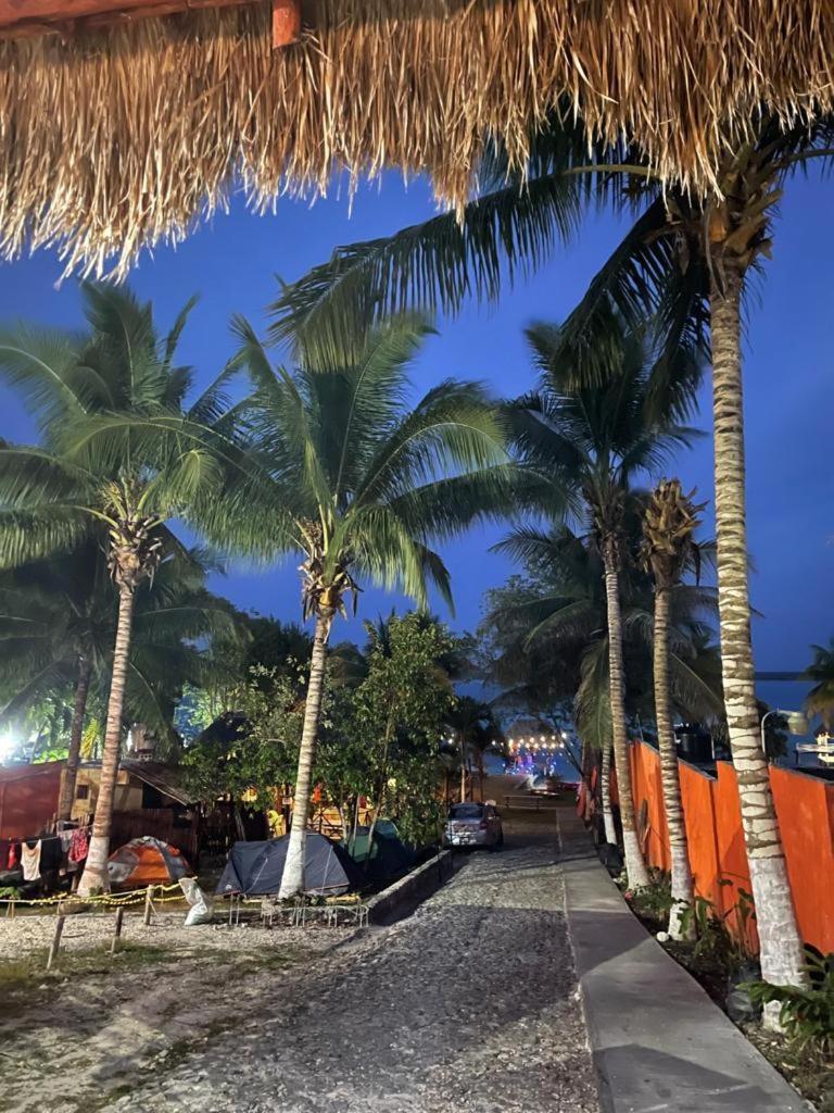 Hostelito Camping Bacalar Tente de luxe *